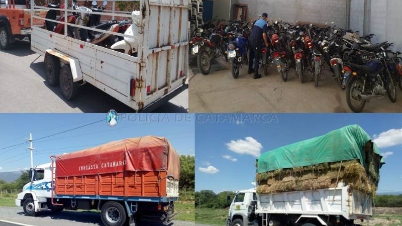 Operativo Sol y Montaña: secuestran 230 vehículos