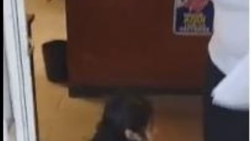 Indignante mal trato a discapacitada