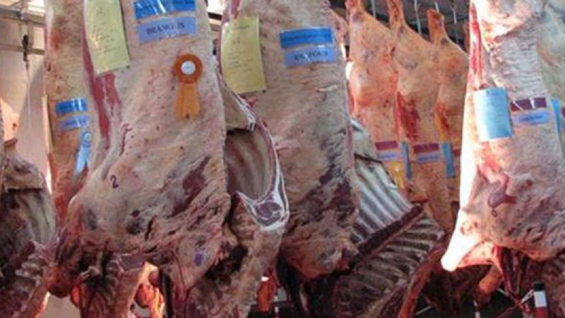 La exportación de carne vacuna marcó un récord