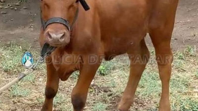 Secuestran una tambera