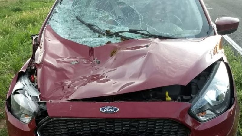 Pareja de ancianos catamarqueños protagonizó un fuerte accidente