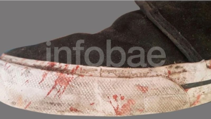 La zapatilla con la que golpearon hasta la muerte a Fernando Báez Sosa