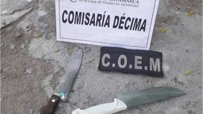 Secuestran un automóvil, cuchillas y dos terneros