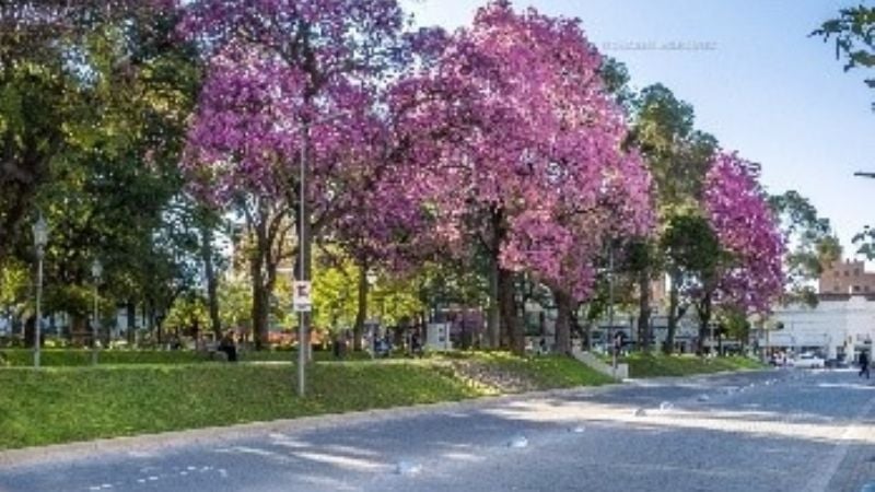 “La mirada de un paisaje cultural hoy”