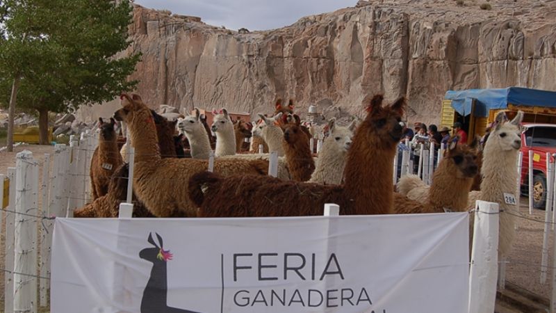 Se presentó la Feria de la Puna 2020