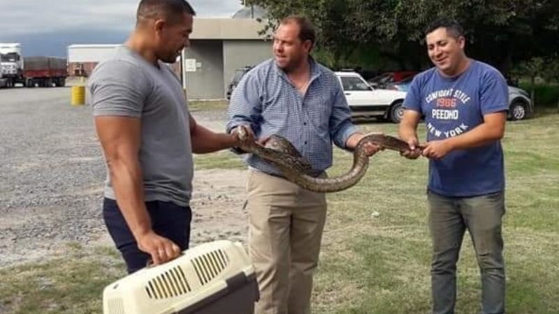 Víbora causó temor en una estación de servicios