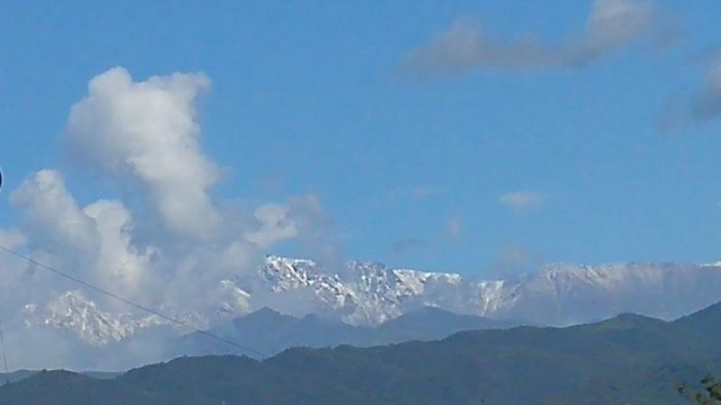 Ambato blanco, en pleno verano