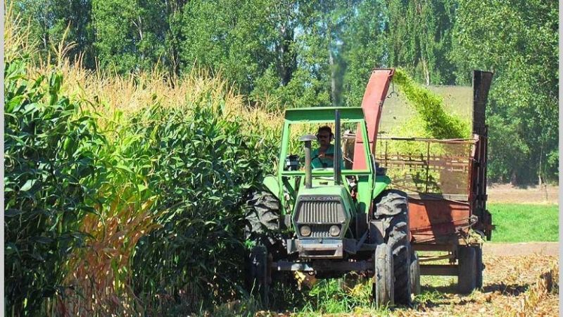 Aumento y asignación remunerativa  para los trabajadores rurales