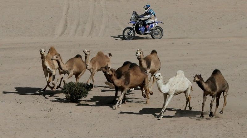 Terranova domina el Dakar pese a la oposición de Alonso