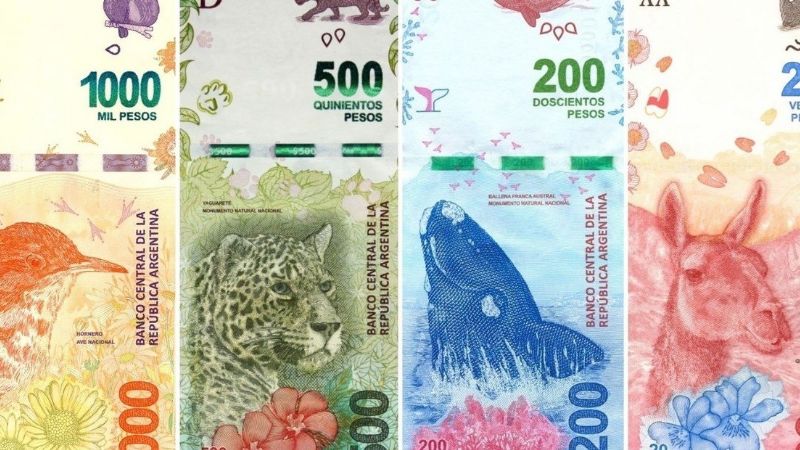 Cuenta regresiva para la salida de los billetes con animales