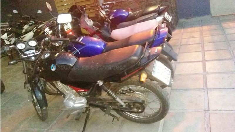 Secuestran 19 vehículos y arrestan a 8 personas sin documentación