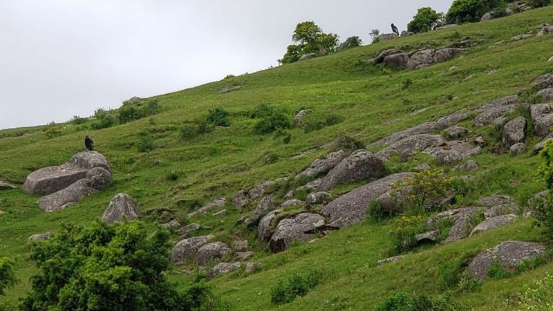 Cumbre de El Manchao, trepando desde Las Juntas