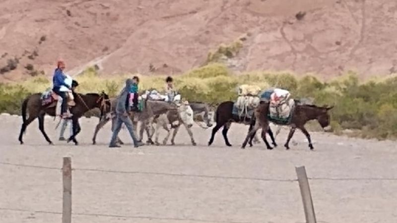 Indignación social por la muerte de un hombre de 35 años en El Tolar