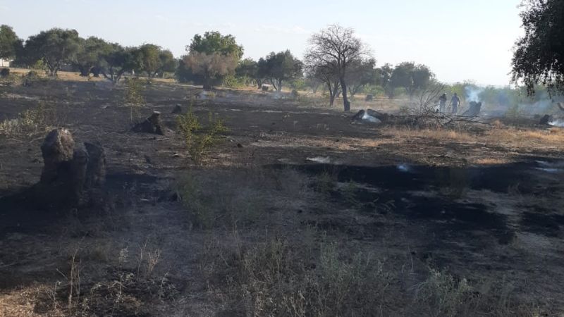 Sofocan incendio en Andalgalá