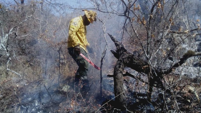 Continúan activos los incendios de La Cébila y Yerba Buena