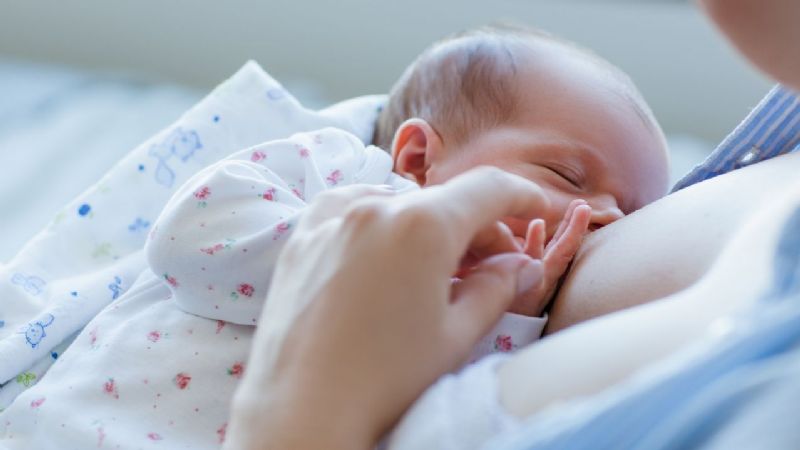 Afirman que la leche materna mata a la mayoría de las cepas vivas del coronavirus