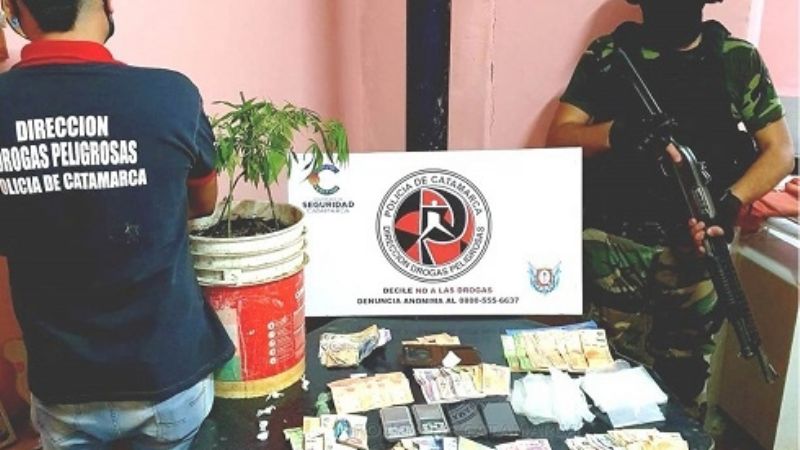 Secuestran semillas y plantas de marihuana, y cocaína