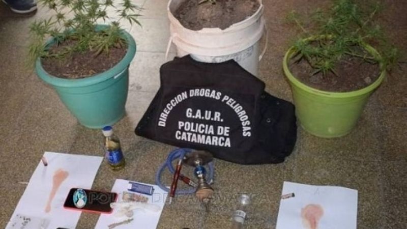 Belén: en allanamiento secuestran semillas y plantas de marihuana