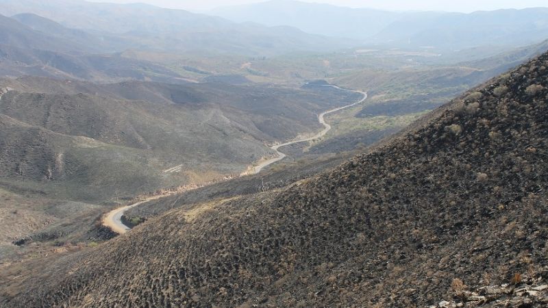 Por los pueblos originarios y nuestros cerros
