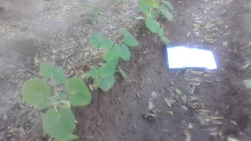 El Movimiento Federal Belgrano continúa con acciones solidarias