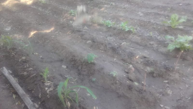 El Movimiento Federal Belgrano continúa con acciones solidarias