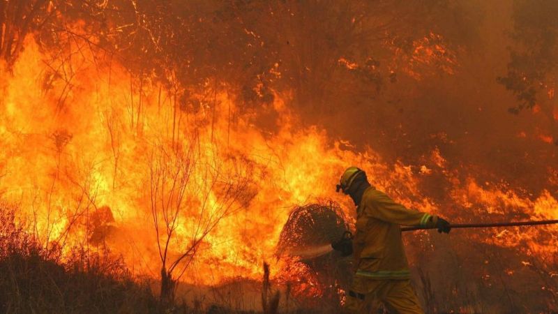 Premio de 10 mil pesos para los bomberos que combaten incendios forestales