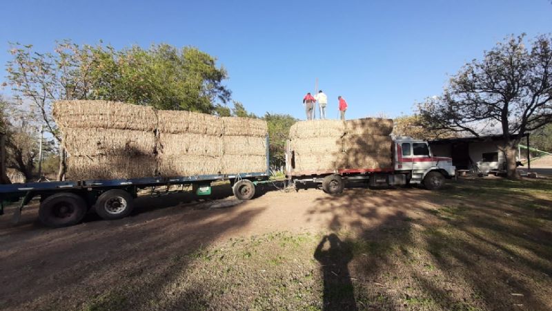 Asistencia a productores ganaderos catamarqueños
