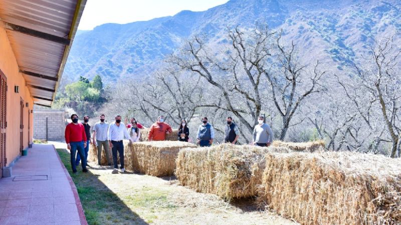 Asistencia a productores ganaderos catamarqueños
