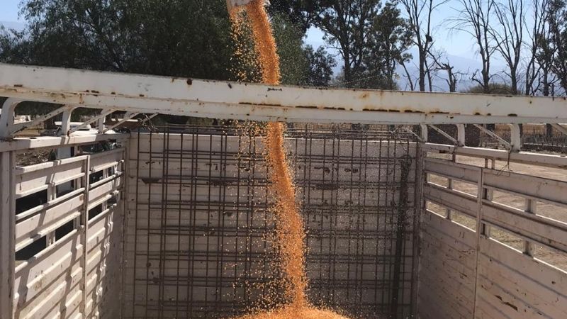 Asistencia a productores ganaderos catamarqueños