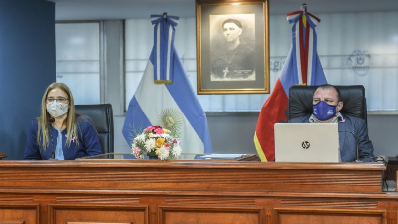 El Senado dio media sanción a cuatro leyes