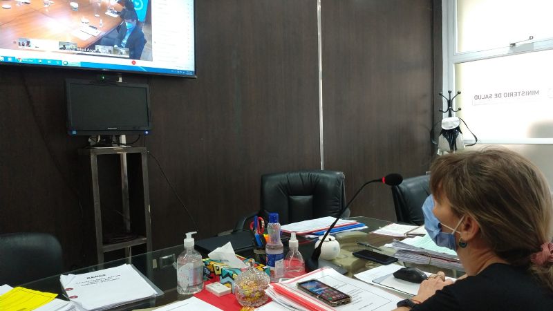 Palladino participa de la reunión de COFESA