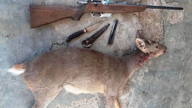 Detienen a cazador furtivo