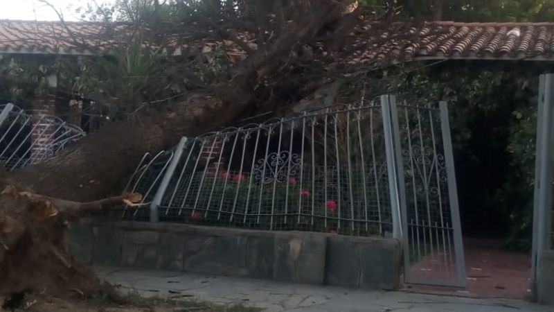 El viento causó daños en Andalgalá