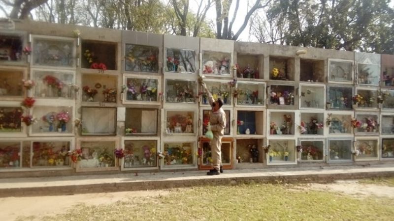 Continúa el cronograma de descacharrado