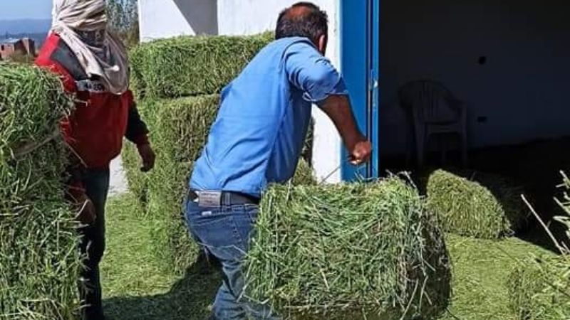 Entregan asistencia a productores en Ancasti