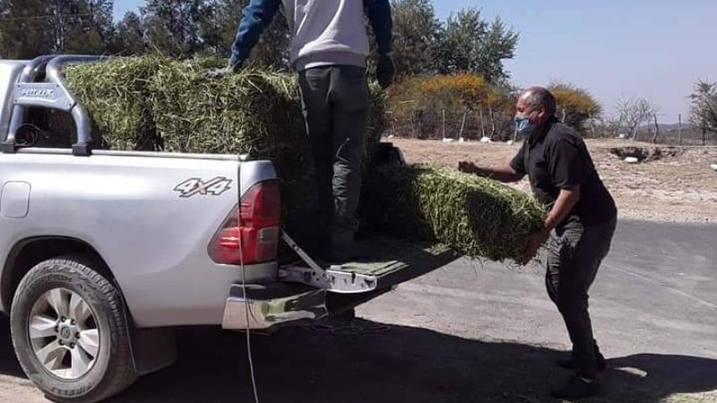 Entregan asistencia a productores en Ancasti