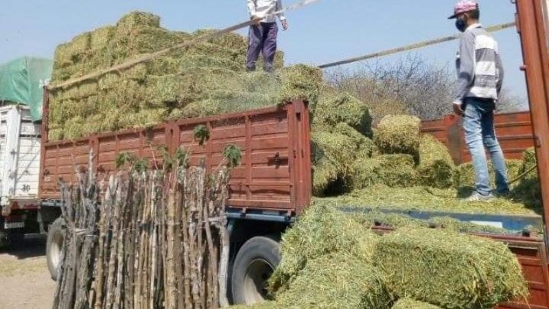 Entregan asistencia a productores en Ancasti