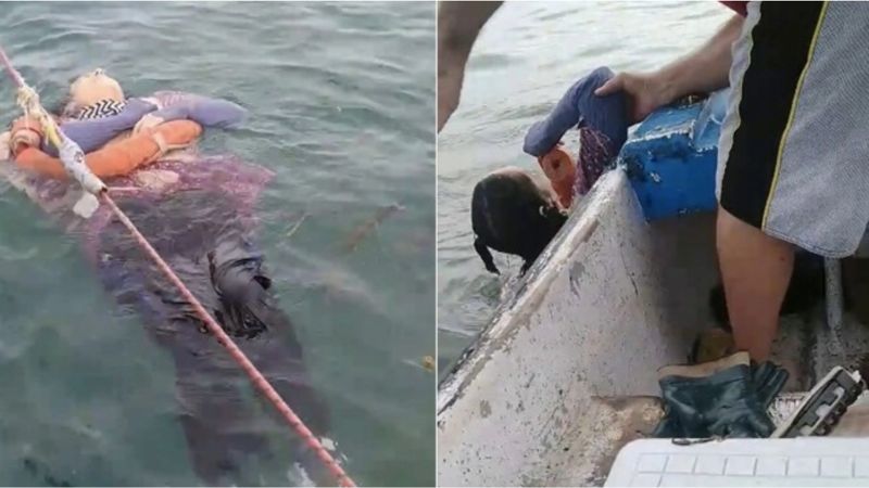 Encontraron viva y flotando en el mar a una mujer desaparecida hace dos años