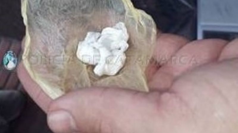 Secuestran 2 gramos de cocaína