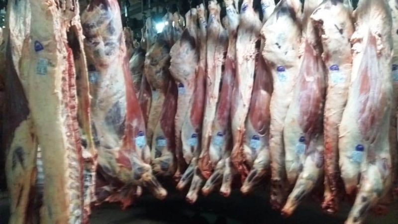 Frigorífico busca ampliar y optimizar su planta productiva