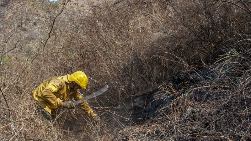 Contienen incendio forestal en Los Ángeles