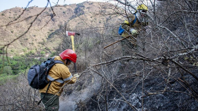 Contienen incendio forestal en Los Ángeles