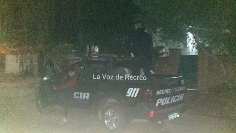 Secuestran elementos robados y ocho plantines de marihuana
