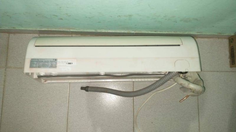 Secuestran elementos robados y ocho plantines de marihuana