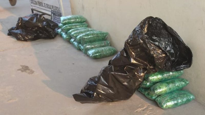 Concejales de Salta llevaban 22 kilos de hojas de coca en una camioneta