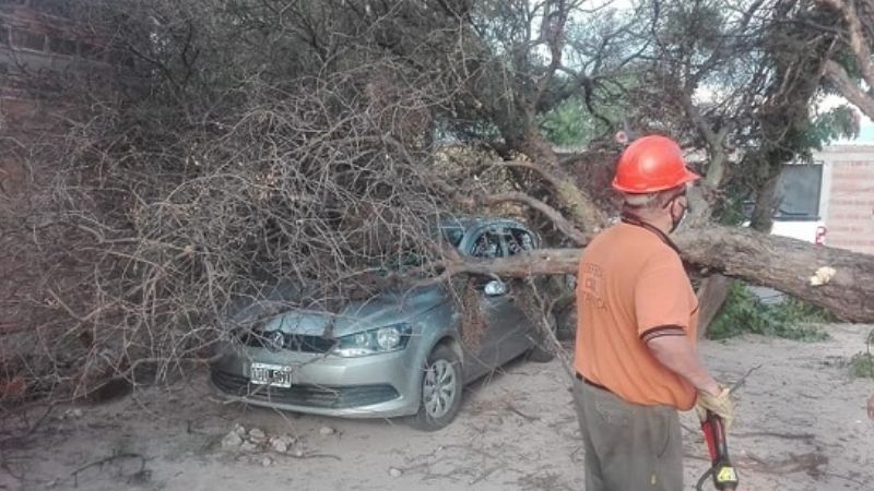 Tormenta de viento y tierra en el Valle Central