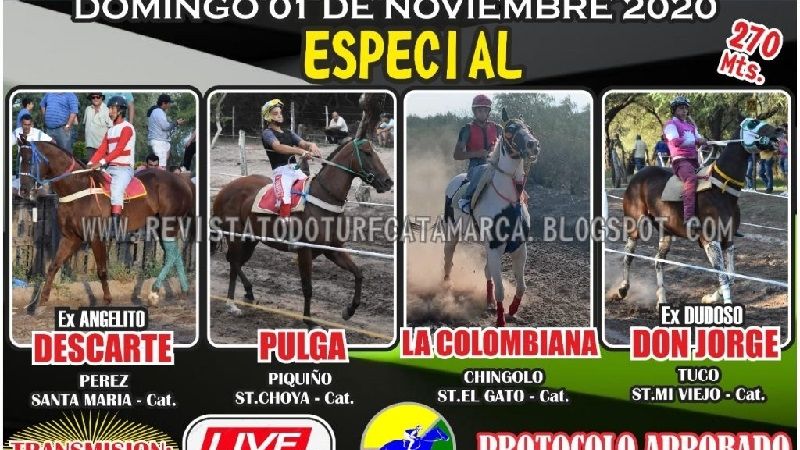 Turf en el Hipódromo Catamarca y por vía “streaming”