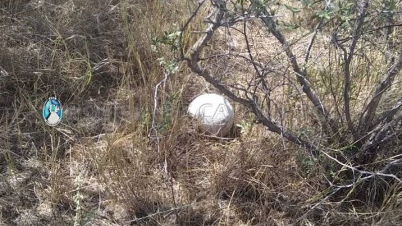 Encuentran restos óseos en la zona sur de la Capital