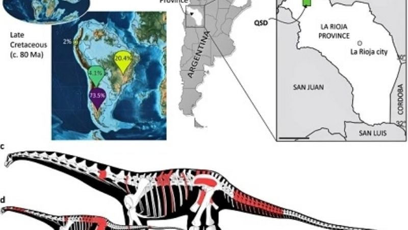 Descubren restos de dinosaurios que vivieron en La Rioja hace 70 millones de años