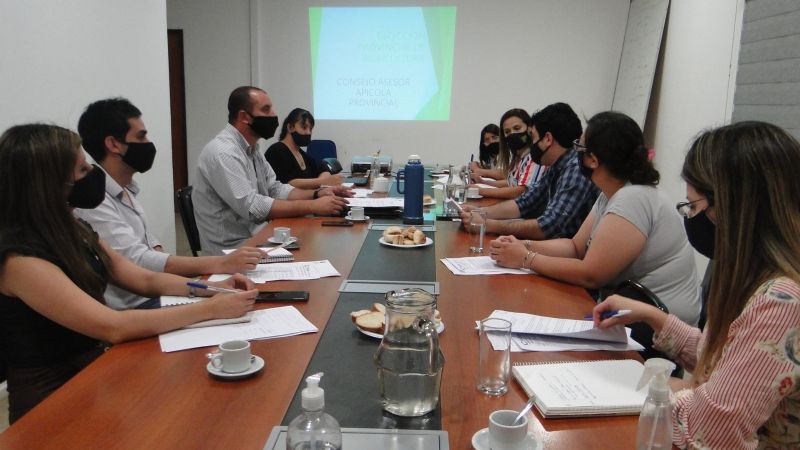 Se reconstituyó el Consejo Asesor Apícola